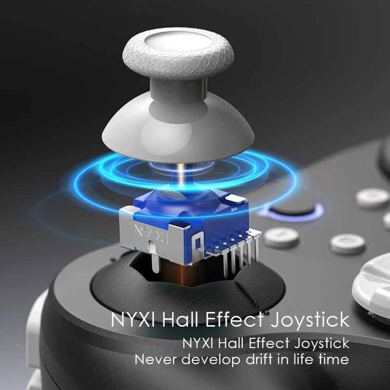 NYXI Warrior Bluetooth Game Controller for Gamecube/WII/Switch2 Black Wireless Gamepad